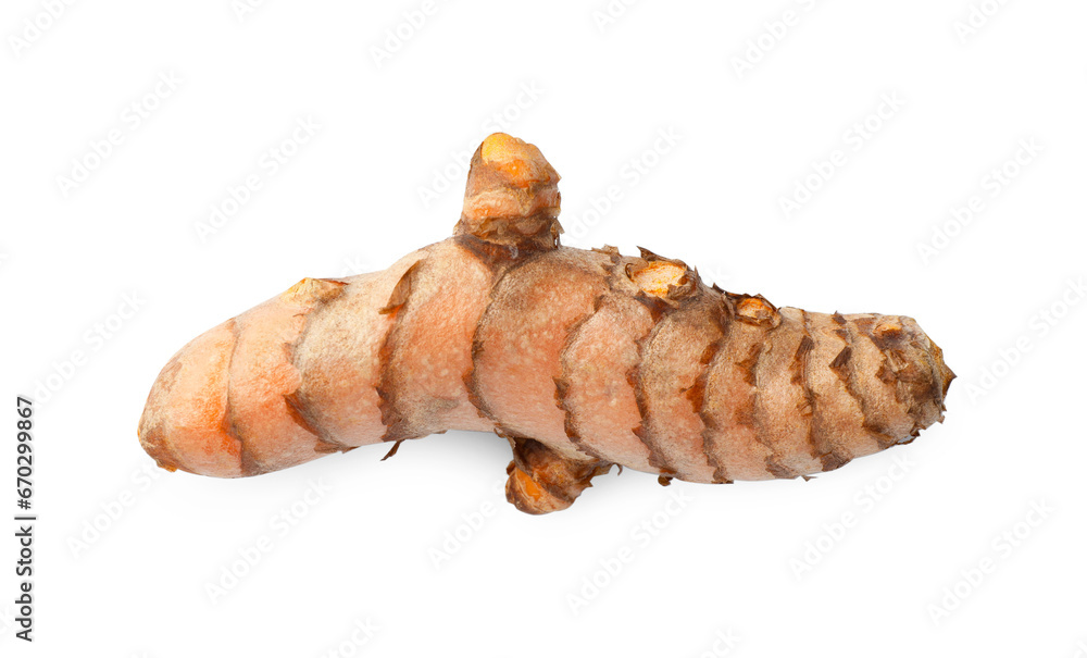 One fresh turmeric root isolated on white, top view One fresh turmeric root isolated on white, top view