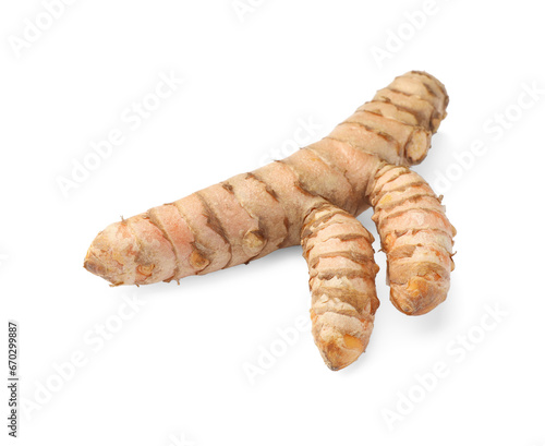 One fresh turmeric root isolated on white