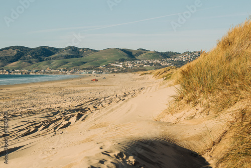 Sand dunes with native plants on the beach  green hills with cityscape in silhouette on the background  and clear blue sky  California