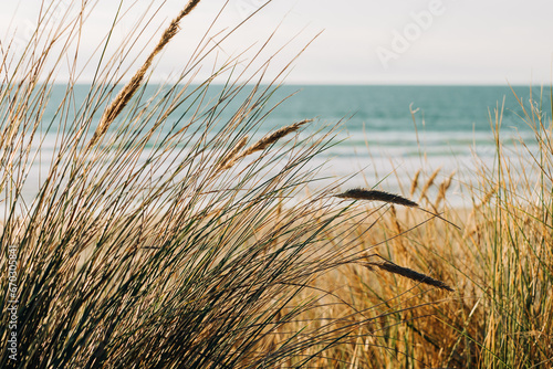Seascape background. Soft blurred sea, and grass in the foreground. Vacations, relaxation concept, copy space