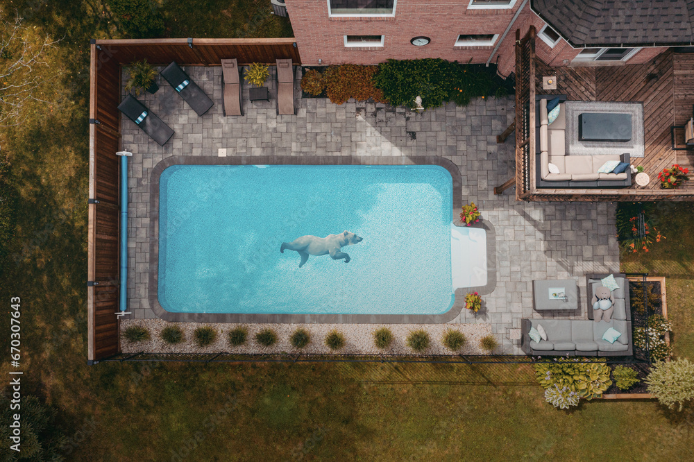 Aerial view of a pool with a playful bear floating in blue waters, surrounded by patio furniture and a brick home. A whimsical touch to an elegant backyard setting.