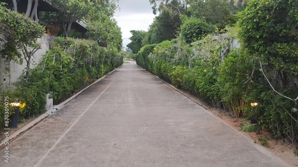 The long walkway has tall bushes flanking the sides The long walkway has tall bushes flanking the sides
