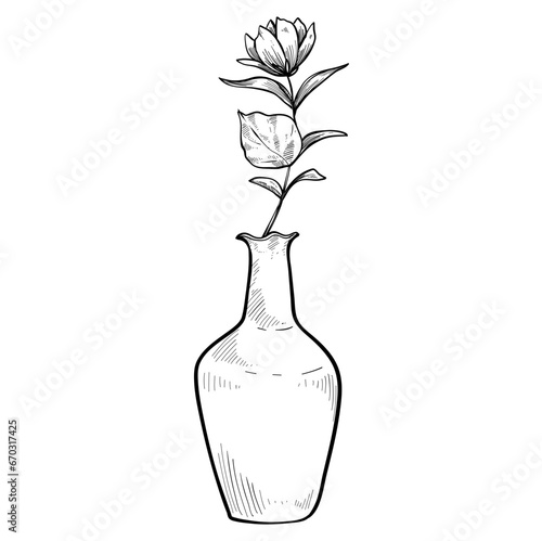 vases jars flowers hand drawn