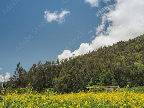 Landscape in the middle of the Peruvian Andes