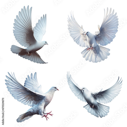A set of male and female White Doves flying on a transparent background © DLW Designs