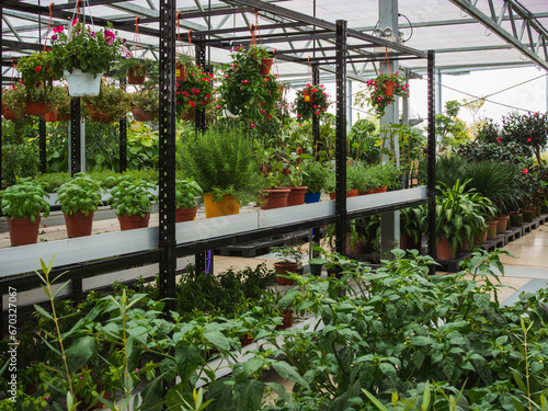 Bright and airy rooftop plant nursery, with well organized potted plants. Potted herbs, hanging flower pots and indoor trees.