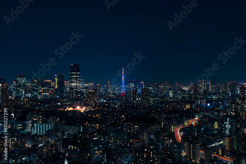 ライトアップされた東京タワーと東京都心の夜景 © Hiroyoshi Kushino