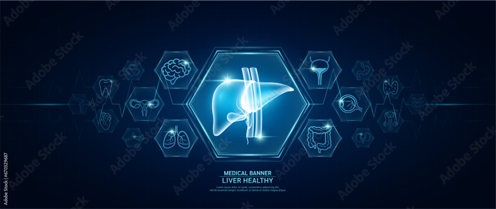 Liver healthy. Human organs icon symbols. Medical science banner design template. Health care medical check up too innovative futuristic digital technology. Examining organ and heart pulse. Vector. - obrazy, fototapety, plakaty 