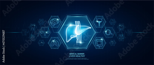 Liver healthy. Human organs icon symbols. Medical science banner design template. Health care medical check up too innovative futuristic digital technology. Examining organ and heart pulse. Vector.