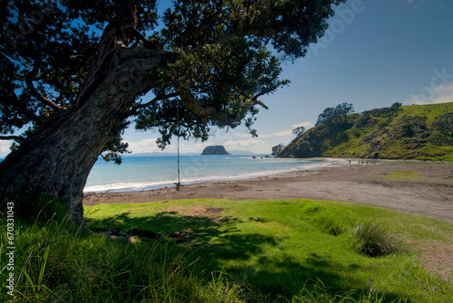 Fletcher bay campground at the top of the Coromandel Peninsular on North Island, New Zealand © PhotoImage