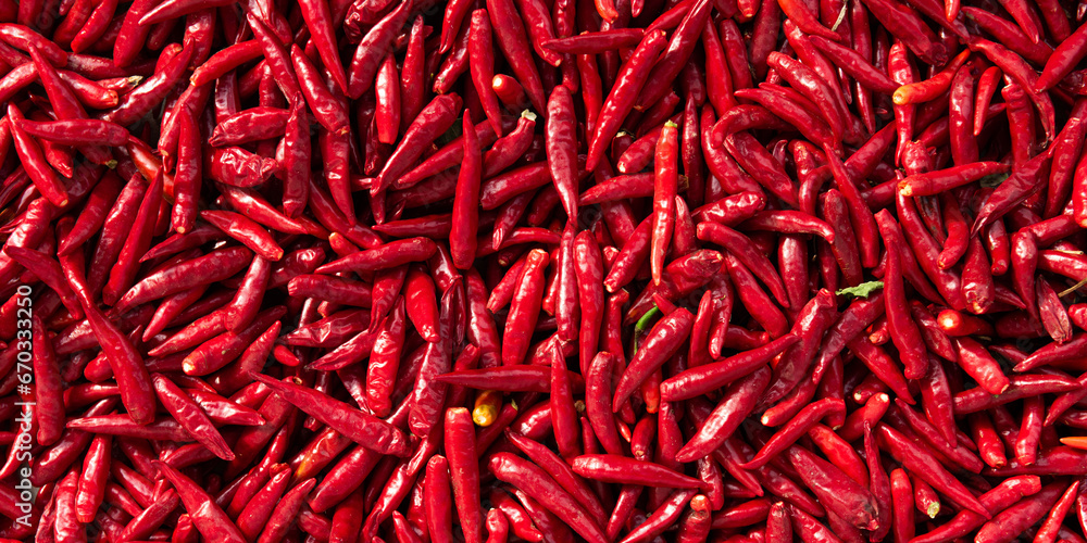 Fototapeta premium Ripe red hot chili peppers vegetable texture background. 