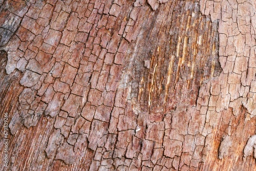 Background image: Macro image of old, cracked, red wood grain.
