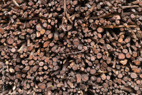 Woodpile