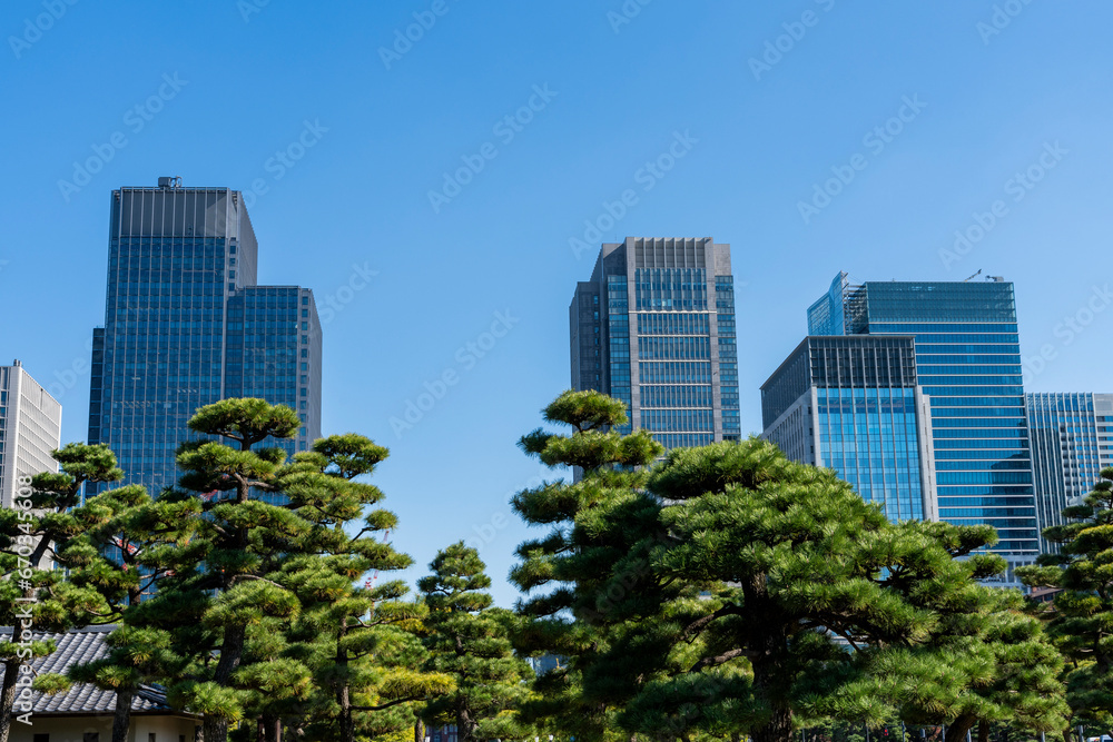 東京　大手町・丸の内のオフィスビル群の風景