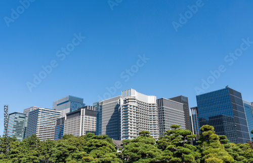 東京　大手町・丸の内のオフィスビル群の風景