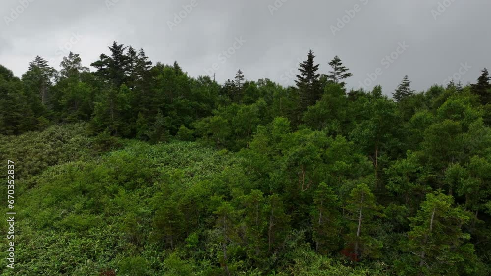 Aerial view low over trees, revealing the slopes and a town in Shiga Kogen, foggy Japan Aerial view low over trees, revealing the slopes and a town in Shiga Kogen, foggy Japan