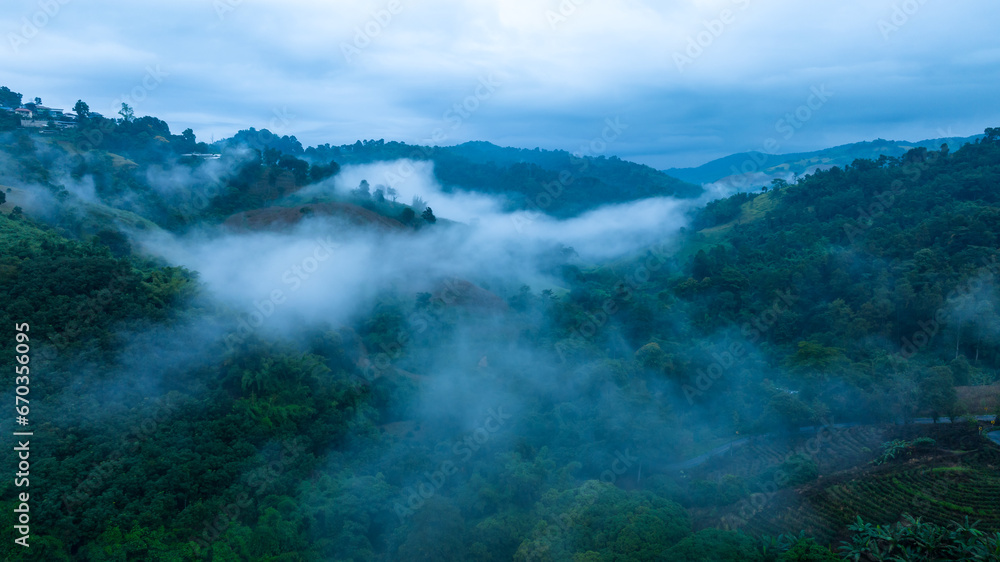 morning mist in the valley, north of thailand, ecological tourism concept, aerial panoramic drone point of view,