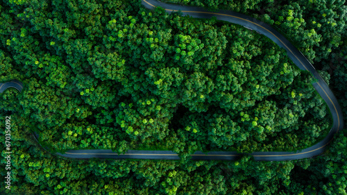 Fototapeta Naklejka Na Ścianę i Meble -  top view of curved road in green forest in the rain season, rural routes connecting city in the north of thailand, Ecosystem and ecology healthy environment concepts,