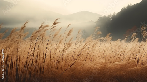 landscape autumn dry grass on the background of a mountain landscape journey into the wild nature of autumn