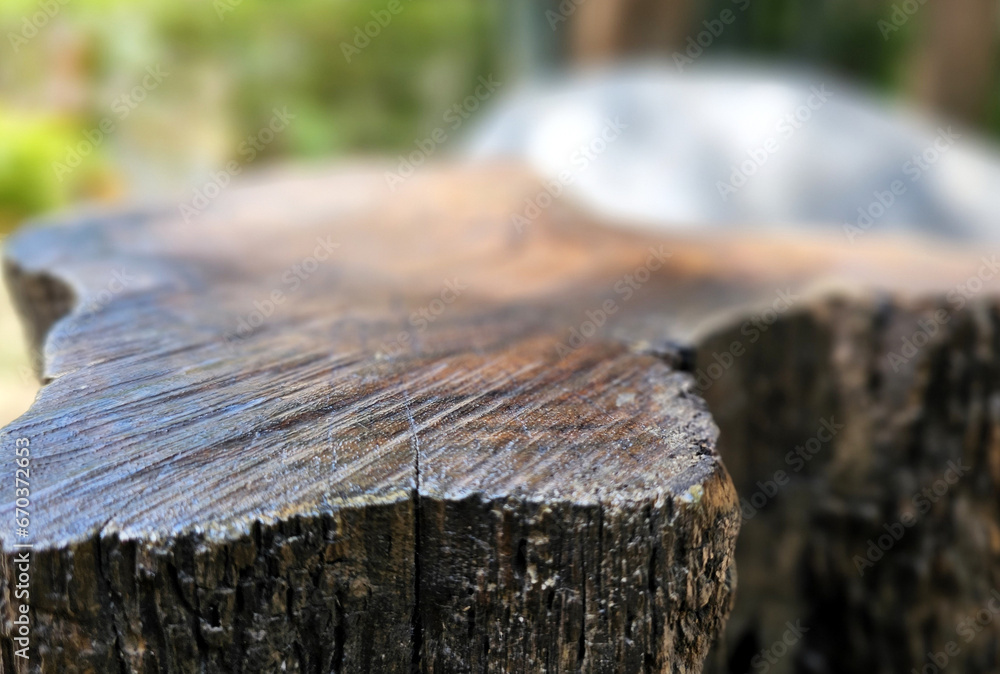 Fototapeta premium Tree Stump Table with Blurred Garden Background, Suitable for Product Presentation Backdrop, Display, and Mock up.