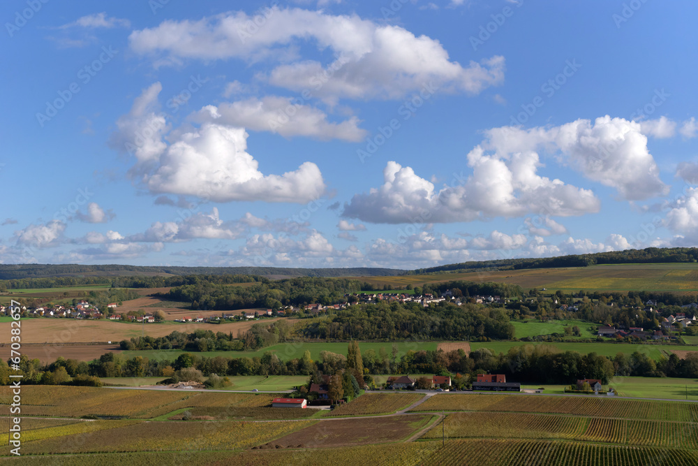 Champagne Vineyards in the Marne valley. Hauts-De-France region