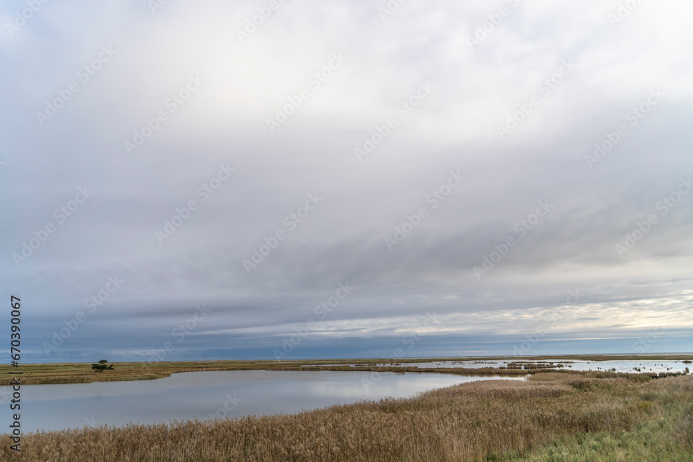 Fall scenery on the Darß peninsula, Baltic Sea, Germany