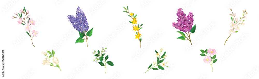 Obraz premium Blooming Flower Twig and Branch with Leaf Vector Set