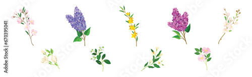 Blooming Flower Twig and Branch with Leaf Vector Set