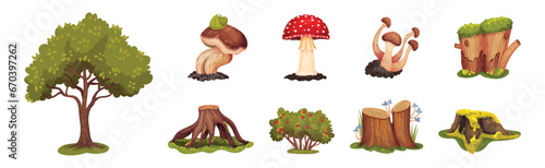 Forest Landscape Elements with Tree, Stump and Mushroom Vector Set