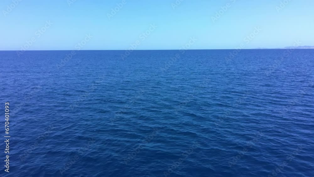 View of Dolphin swim in the high seas - 4k video View of Dolphin swim in the high seas - 4k video