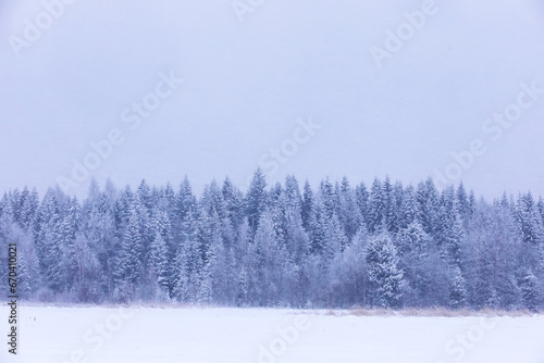 The forest is covered with snow. Frost and snowfall in the park. Winter snowy frosty landscape. © alexkich