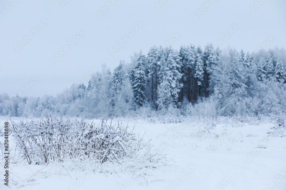 Winter snowy frosty landscape. The forest is covered with snow. Frost and fog in the park. Winter snowy frosty landscape. The forest is covered with snow. Frost and fog in the park.