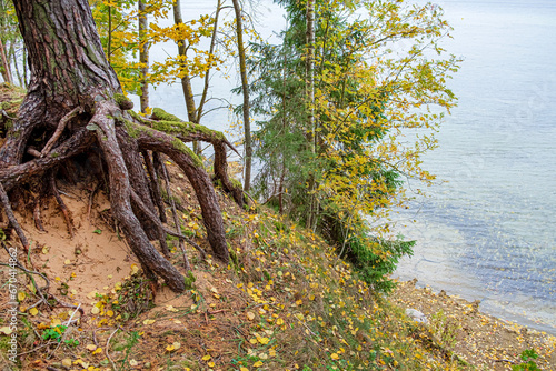 autumn tree near beautiful lake © Maksim Shebeko