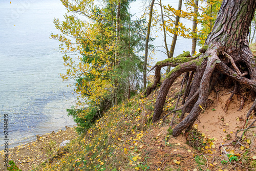 autumn tree near beautiful lake photo