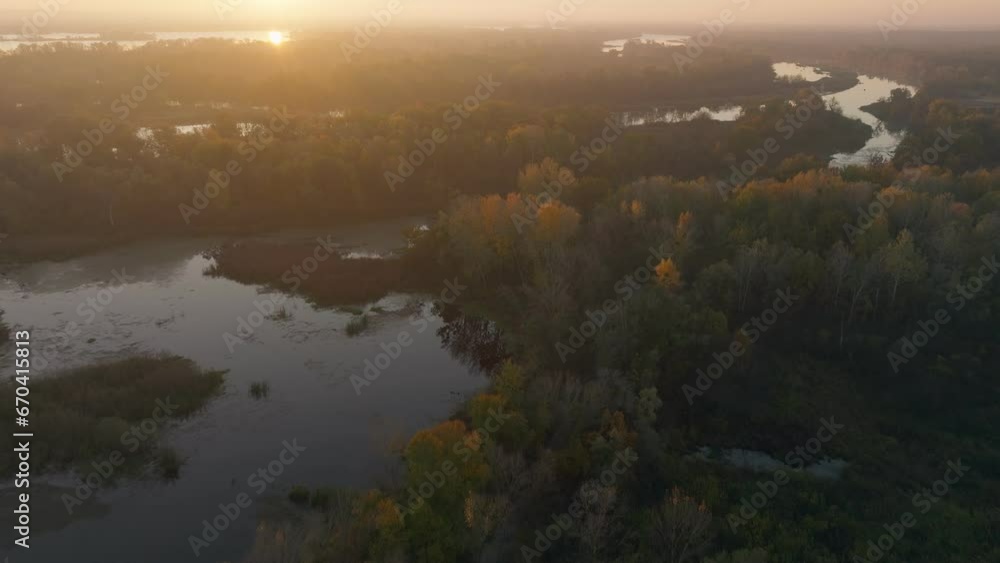 River autumn forest tree nature beautiful green summer aerial drone fly River autumn forest tree nature beautiful green summer aerial drone fly