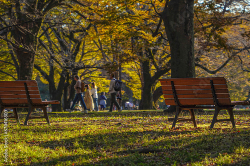 A bench in the park where the sunlight shines through