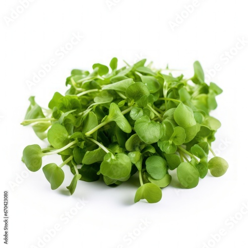 Watercress isolated on white background