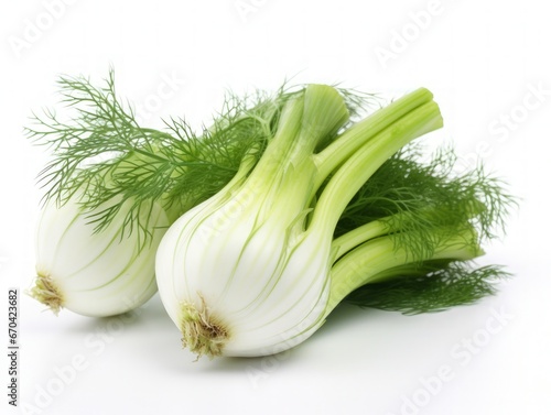Florence fennel isolated on white background one fresh bulb