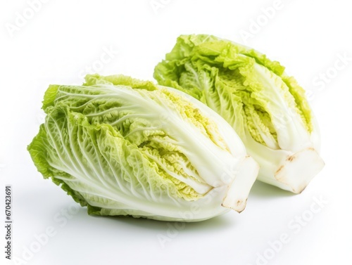 Napa cabbage isolated on white background