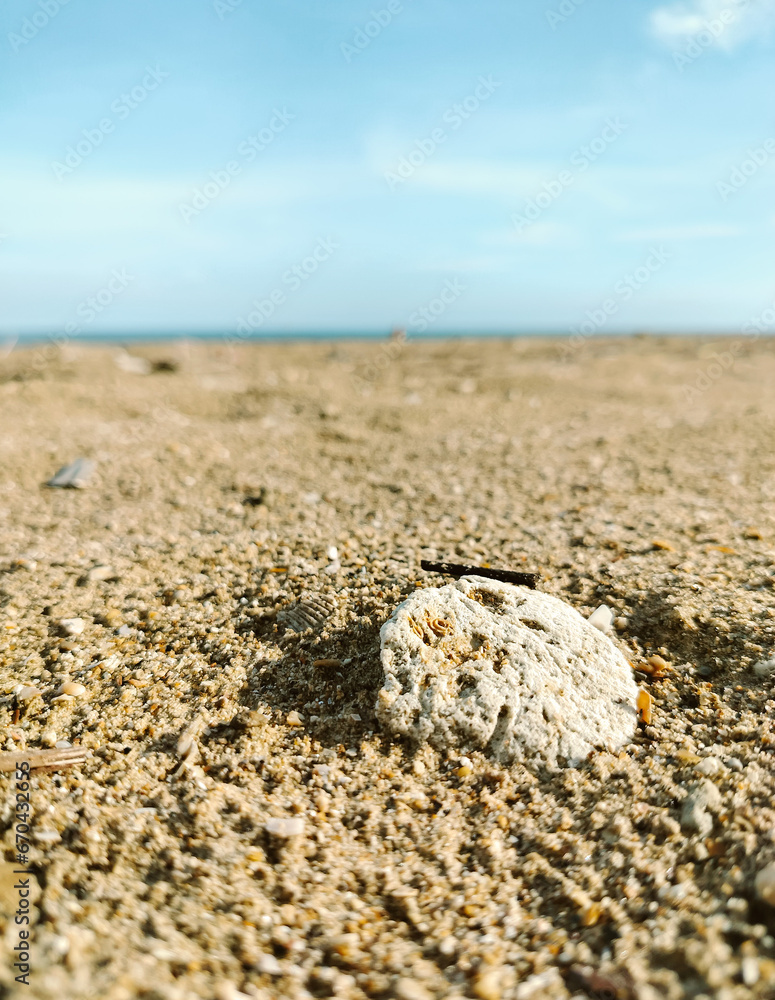 Coral stone on the beaches of the sea Coral stone on the beaches of the sea