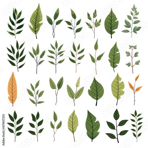 set of branches with leafs and seeds icon vector illustration graphic design © Alex
