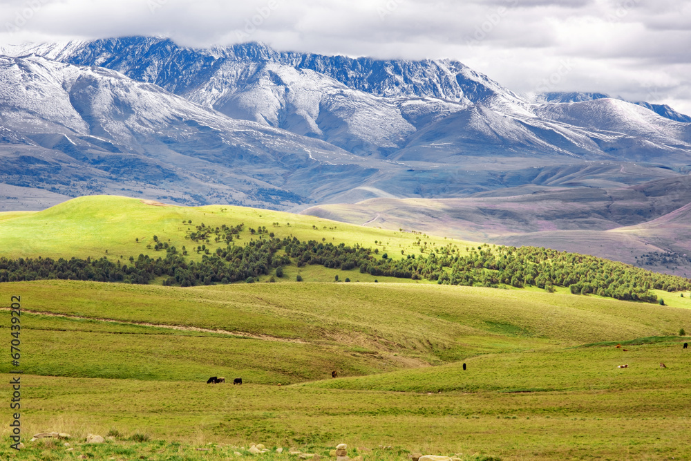 Obraz premium Panoramic view of the Caucasus Mountains with snowy slopes in autumn