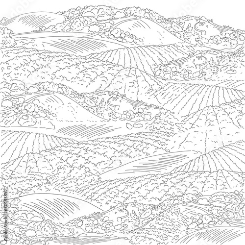 Hand drawn sketch of grass field and small hills. Illustration of rural scenery landscape of countryside pastures . 