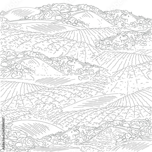 Hand drawn sketch of grass field and small hills. Illustration of rural scenery landscape of countryside pastures . 