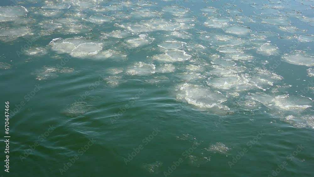Pancake ice is slowly drifting by the current, backlight. Pancake ice is slowly drifting by the current, backlight.