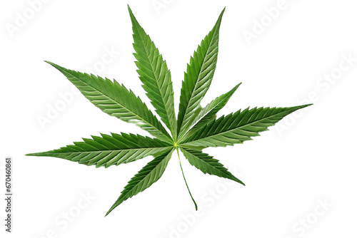 Vibrant Cannabis Leaf Isolated on Black Background. generative ai