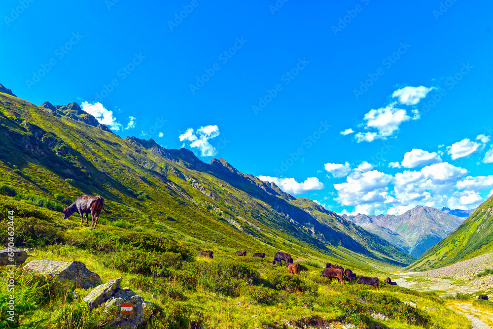 Fototapeta premium Das Lareintal, Seitental des Paznauntals in Tirol (Österreich)