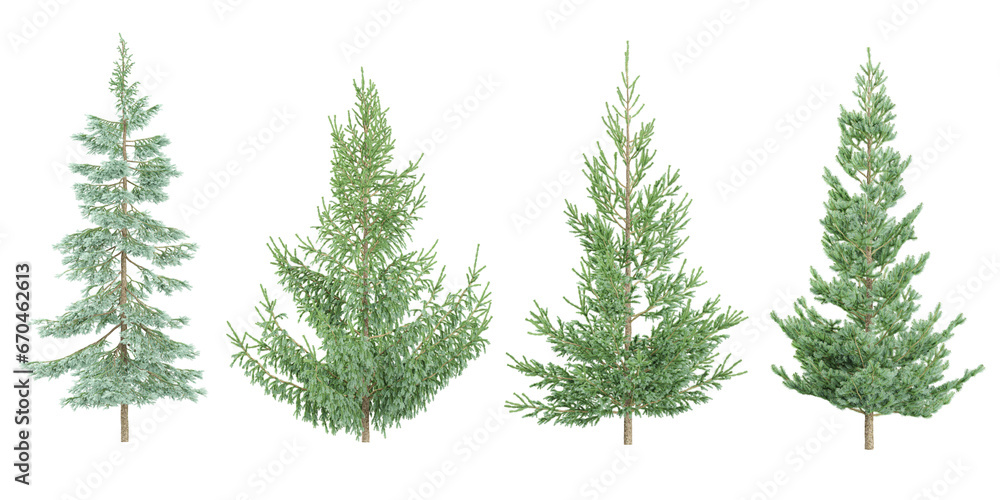 Cedar,fir,pine Trees collection with realistic style Cedar,fir,pine Trees collection with realistic style