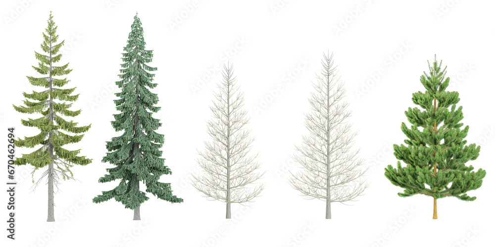 Jungle Christmas,Fir,Pine trees shapes cutout 3d render set