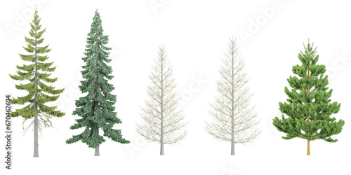 Jungle Christmas Fir Pine trees shapes cutout 3d render set